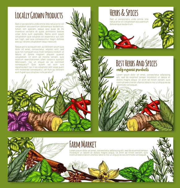 Bosquejo de condimentos de mercado de especias vectoriales o hierbas agrícolas
 - Vector, Imagen
