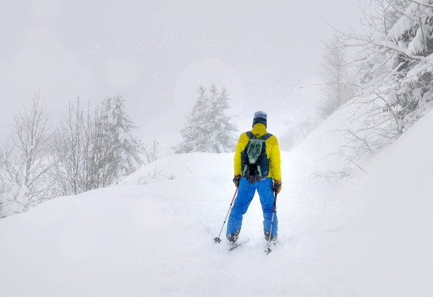 Man of back in ski touring  - Foto, Imagen