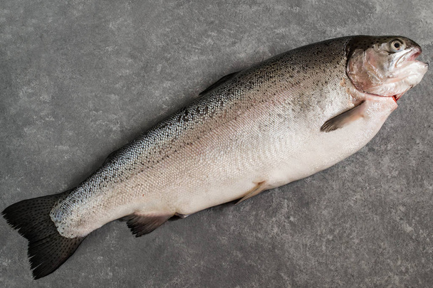 Grande salmone fresco su sfondo grigio
  - Foto, immagini
