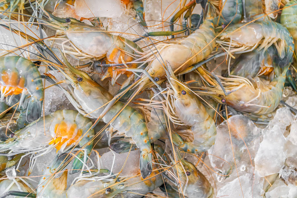 Čerstvé krevety nebo krevet na ledě pro prodej na trhu s mořskými plody - Fotografie, Obrázek