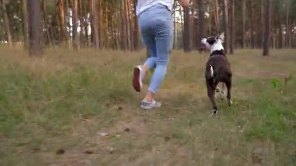 Girl playing with her dog in the forest at sunset - Footage, Video