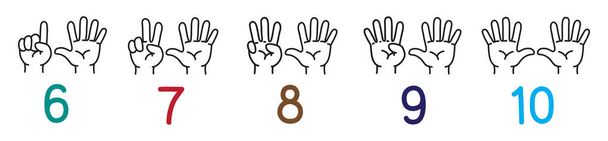 Manos con dedos.Conjunto de iconos para contar la educación
 - Vector, Imagen