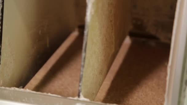 Προσυμπτωματικού ελέγχου και την ταξινόμηση των σιτηρών σε έναν μύλο - Πλάνα, βίντεο