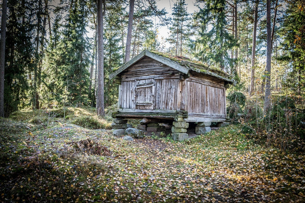 Egy kunyhó az erdőben, régi kunyhó és régi kunyhó. - Fotó, kép