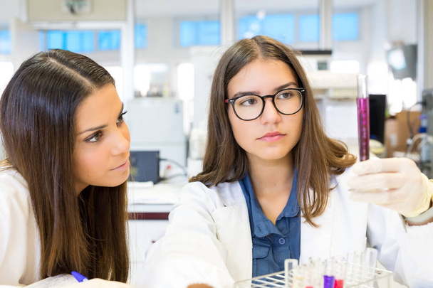 Femmes scientifiques travaillant au laboratoire
 - Photo, image