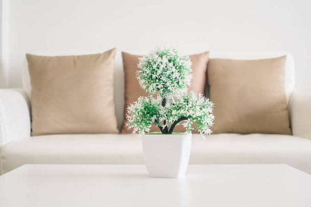 Vase plant on table - Foto, immagini