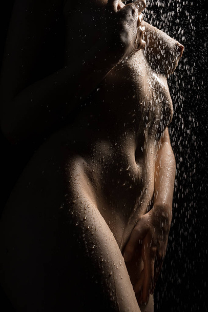 Nude woman cropped portrait in shower - Foto, afbeelding