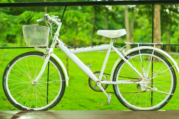 Old retro style white bicycle on green background - Photo, Image