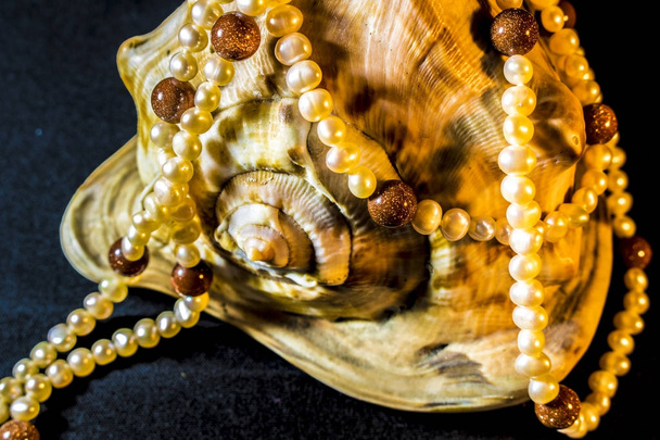  beautiful pearl treasure - Photo, Image