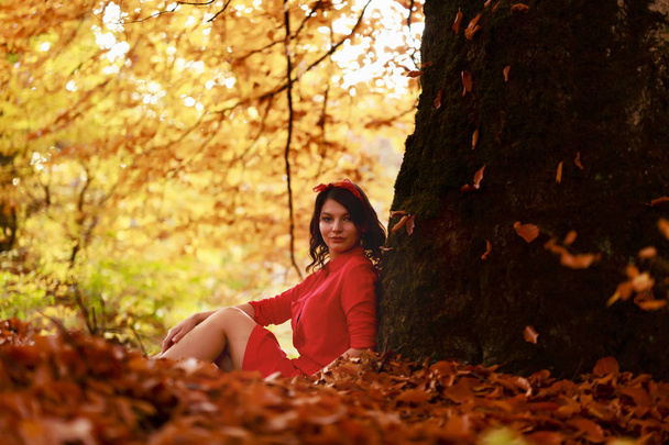Beautiful young brunette enjoys a sunny day of autumn in nature - Foto, imagen