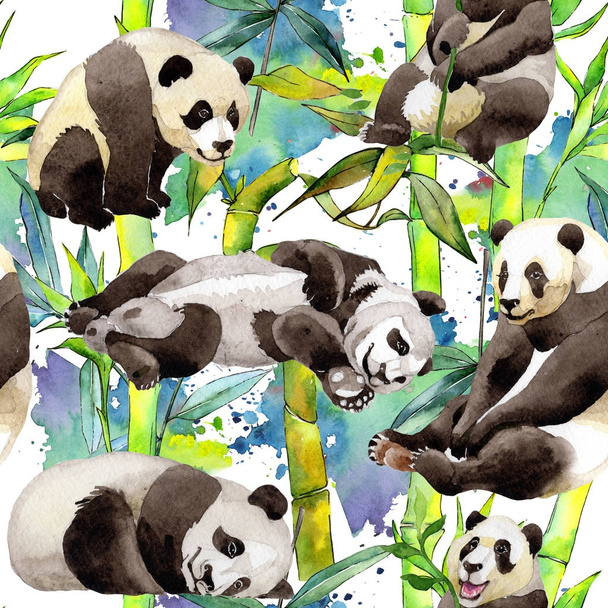 Тропическое бамбуковое дерево и панда в стиле акварели
. - Фото, изображение