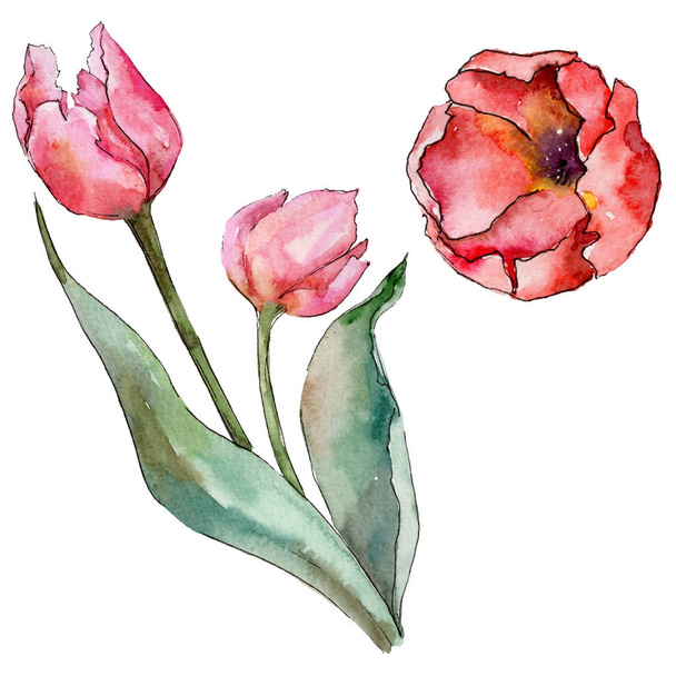 Wildflower tulip flower in a watercolor style isolated. - Fotó, kép