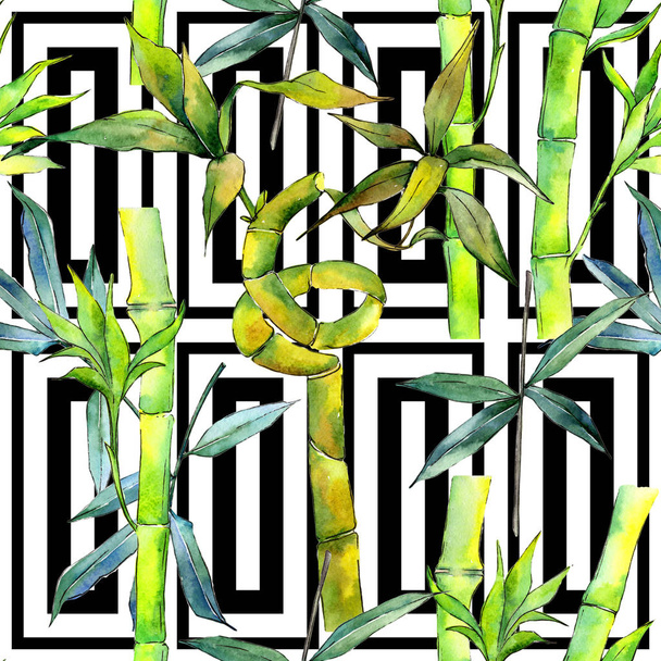 Tropical  bamboo tree pattern in a watercolor style. - Photo, Image