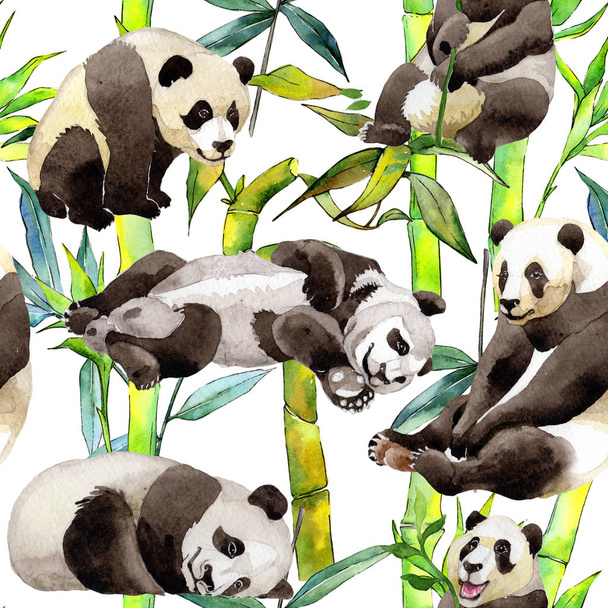 Árbol de bambú tropical y patrón de panda en un estilo de acuarela
. - Foto, imagen