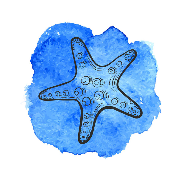 vector star fish - Vetor, Imagem