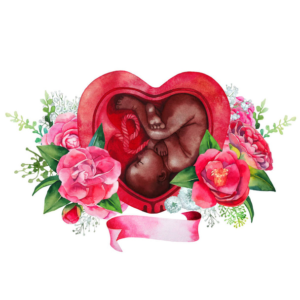 Aquarelle foetus dans l'utérus
 - Photo, image