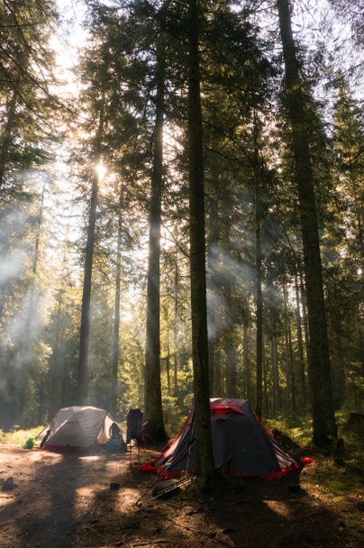 camping in forest with backlit - Photo, Image