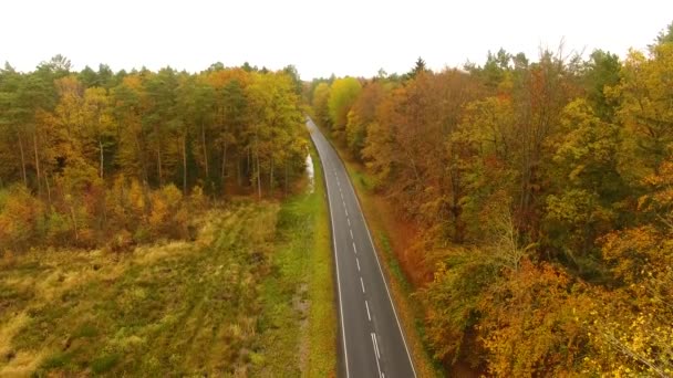 Az út az erdőn keresztül, felülnézet - Felvétel, videó