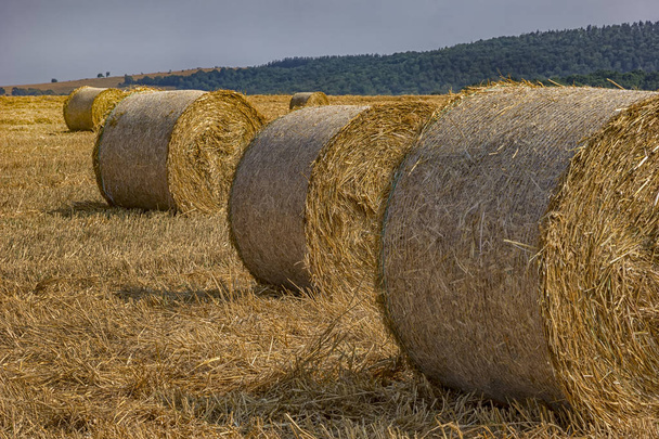 Big hay bales  - Photo, Image