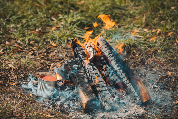 může s fazolemi poblíž ohně - Fotografie, Obrázek