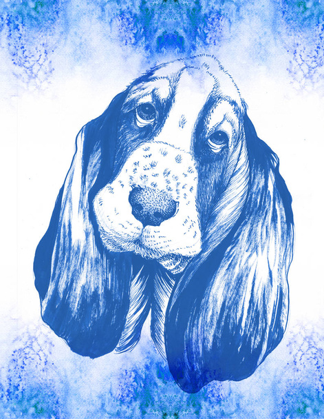 Dog. Illustration. Symbol of the year 2018. Basset.  - Photo, Image