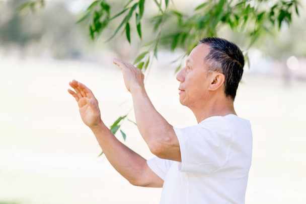 Old man practicing thai chi - Photo, Image