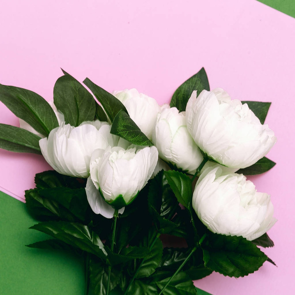 Bouquet of white roses on pink minimal art design - Foto, Imagem