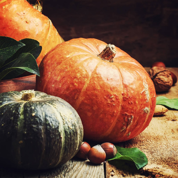 Autumn still life with pumpkins, pears and nuts - Foto, Bild