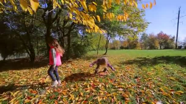 děti hrají v podzimním parku. - Záběry, video