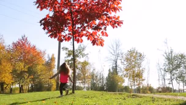 Ένα μικρό κορίτσι σε ένα ροζ σακάκι τρέχει σε ένα πάρκο κοντά σε ένα δέντρο με κόκκινα φύλλα - Πλάνα, βίντεο