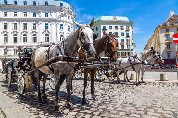 Horse carriage in Vienna - Φωτογραφία, εικόνα
