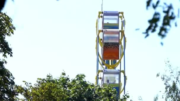 een hoge vreugde wiel in een Park met veel Greenary in de zomer - Video