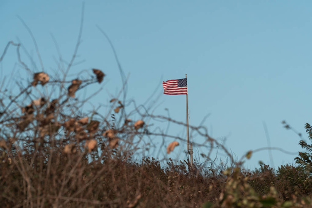 Bandiera americana sventola nel vento sopra parco nazionale spazio verde contro sfondo cielo blu chiaro durante il giorno. USA simbolo di libertà
 - Foto, immagini