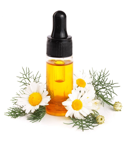 bottle with essential oil and fresh chamomile flowers isolated on white background - Fotoğraf, Görsel