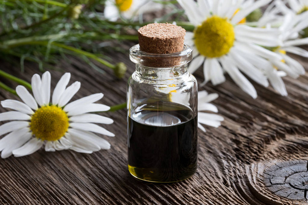 Uma garrafa de óleo essencial de camomila com flores de camomila
 - Foto, Imagem
