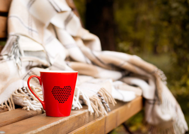 taza roja envuelta en una manta en un banco
 - Foto, imagen