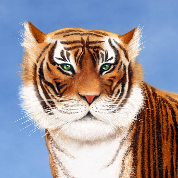 Farbmuster eines Tigerkopfes. - Foto, Bild