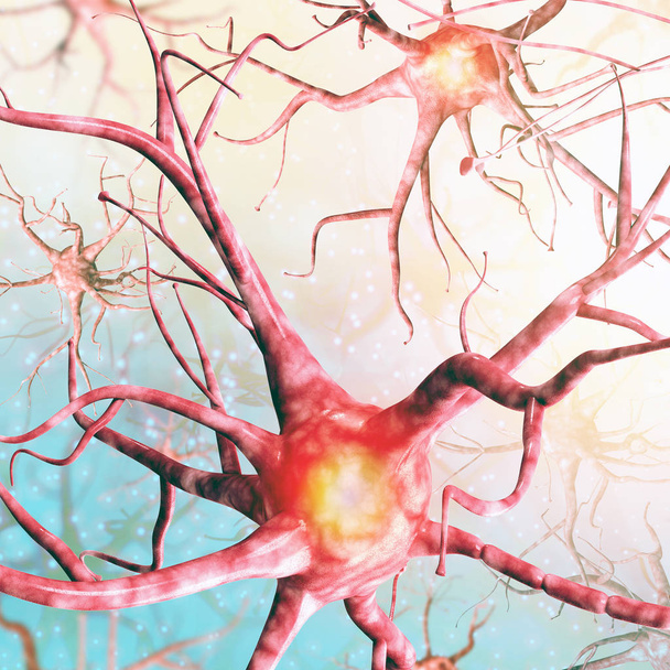 Ininterrelation μεταξύ των νευρώνων του εγκεφάλου. Υψηλή ανάλυση. - Φωτογραφία, εικόνα