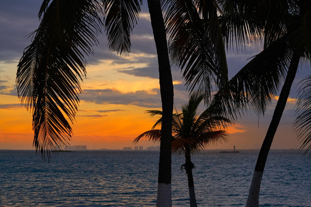 Isla Mujeres île Caraïbes plage coucher de soleil
  - Photo, image
