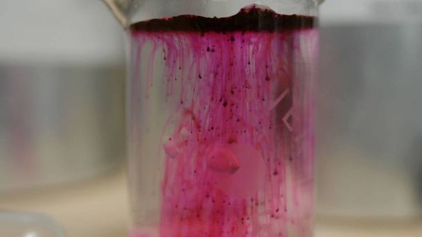 Kolorowe piękne reakcji chemicznej w kolbie. Różowe lub czerwone cieczy rozpuszcza się w kolbie. Różowy materii w kolbie. Różowe lub czerwone cieczy rozpuszcza się w kolbie - Zdjęcie, obraz