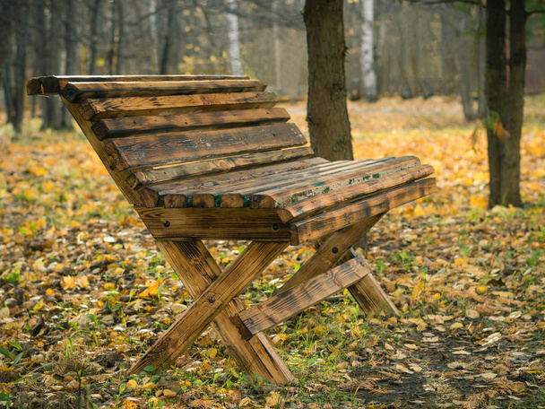Beautiful wooden bench in autumn city Park. - Photo, Image