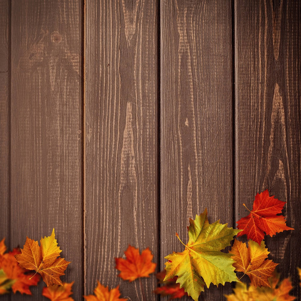 abstracte herfst achtergrond - Foto, afbeelding