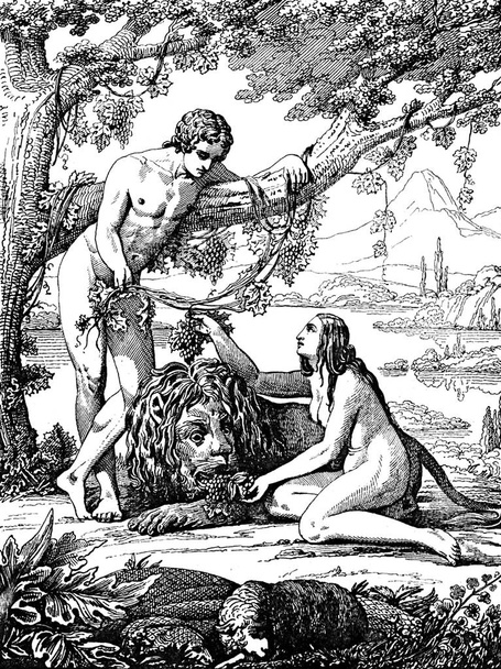 Адам и Ева в Парадизе
. - Фото, изображение
