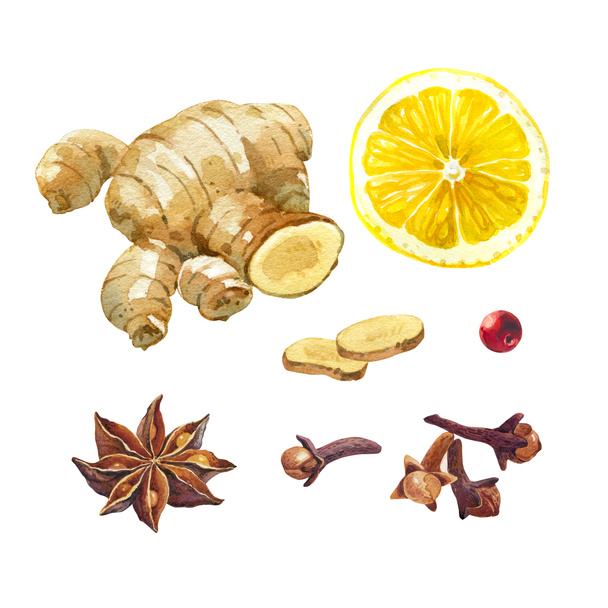 Lemon, giger and winter spices isolated on white watercolor illustration set - Photo, Image