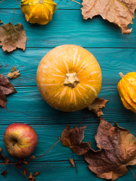 かぼちゃ、葉緑の秋背景 - 写真・画像