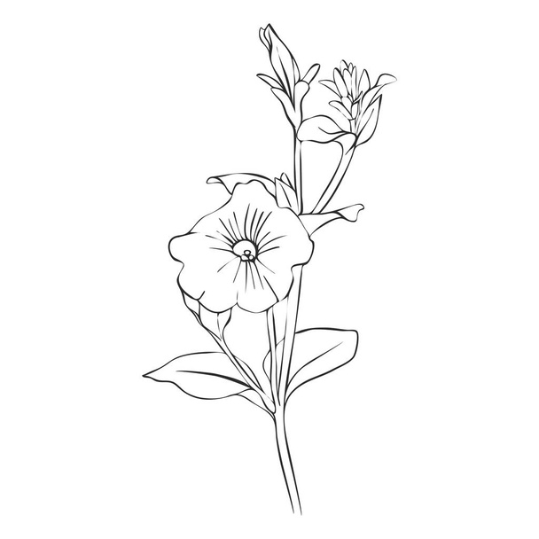 vector drawing flower - Vector, Imagen