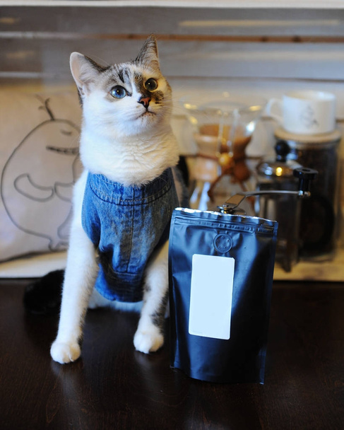 Gyönyörű kék szemű macska farmer mellény, kávé csomag. Üres label, tér, design. Alternatív sör - Fotó, kép
