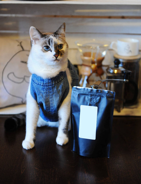 Красивый голубоглазый кот в джинсовой жилетке с пачкой кофе. Пустой этикетки, пространство для дизайна. Альтернативное пивоварение
 - Фото, изображение