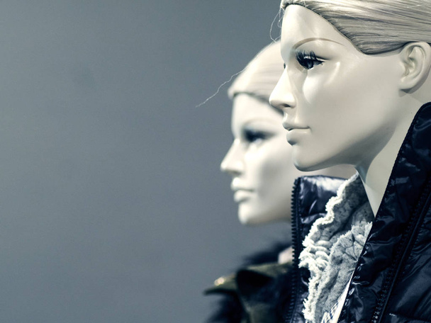 Female mannequin, shopping, sale - Фото, зображення