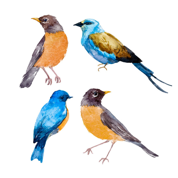 Watercolor bird vector set - Vektör, Görsel